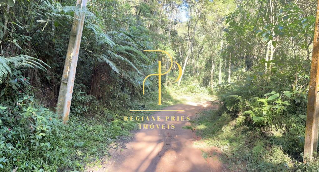 Terreno à venda, 4220m² - Prata,Teresópolis