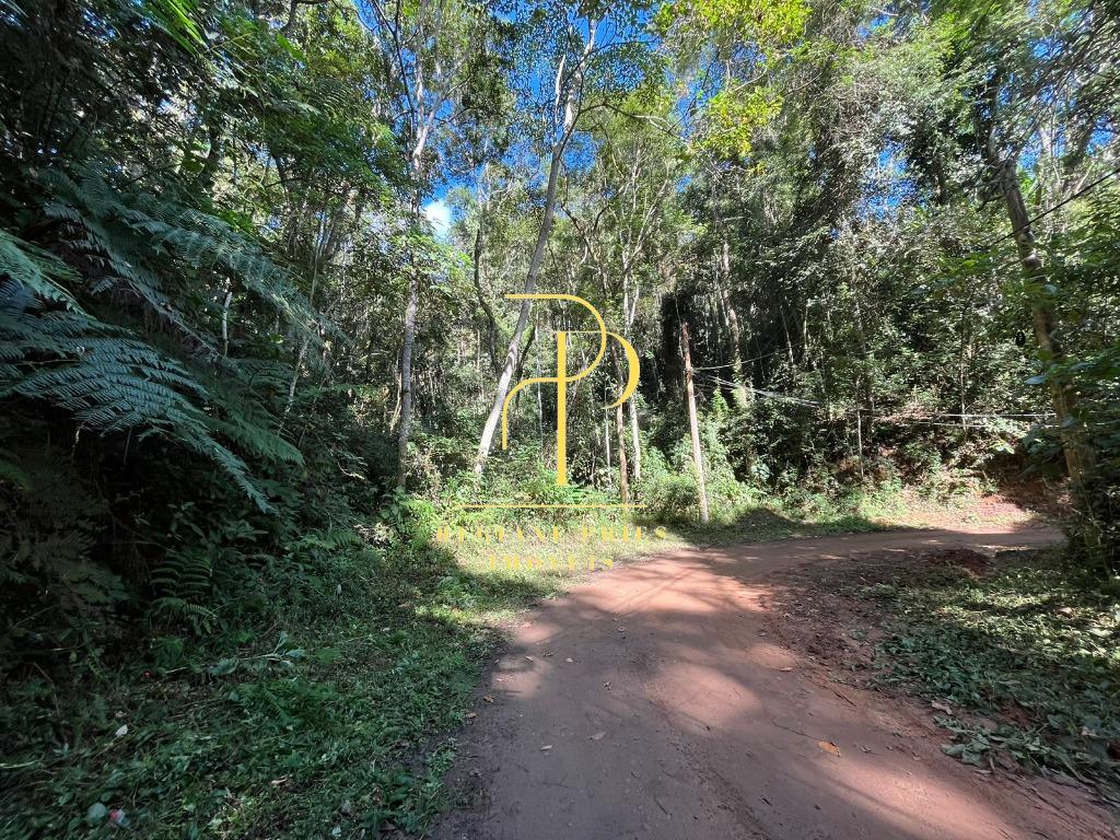 Terreno para Venda em Teresópolis, Prata - Benetton Imóveis